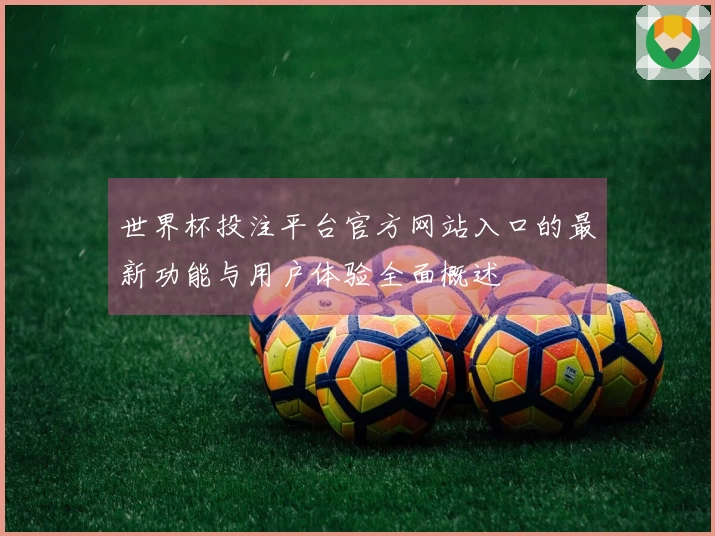 世界杯投注平台官方网站入口的最新功能与用户体验全面概述