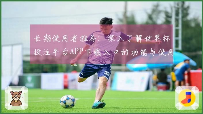 长期使用者推荐：深入了解世界杯投注平台APP下载入口的功能与使用体验