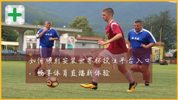 如何顺利安装世界杯投注平台入口，畅享体育直播新体验