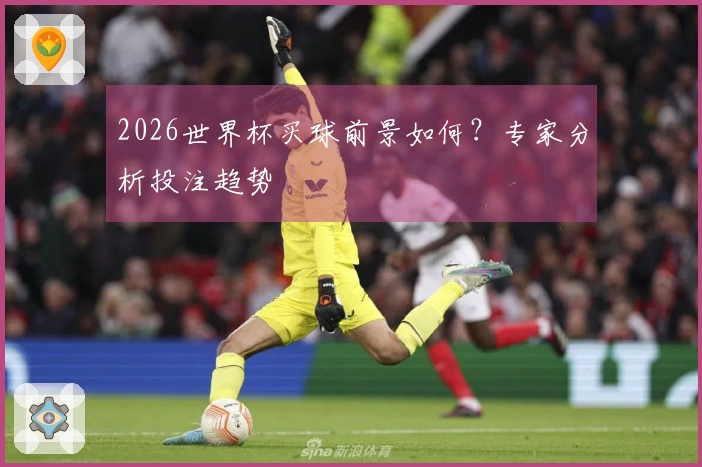 2026世界杯买球前景如何？专家分析投注趋势