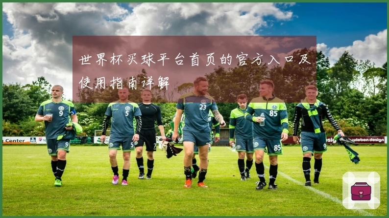 世界杯买球平台首页的官方入口及使用指南详解