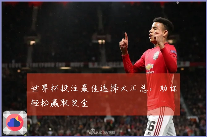 世界杯投注最佳选择大汇总，助你轻松赢取奖金