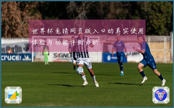 世界杯竞猜网页版入口的真实使用体验与功能评测分析