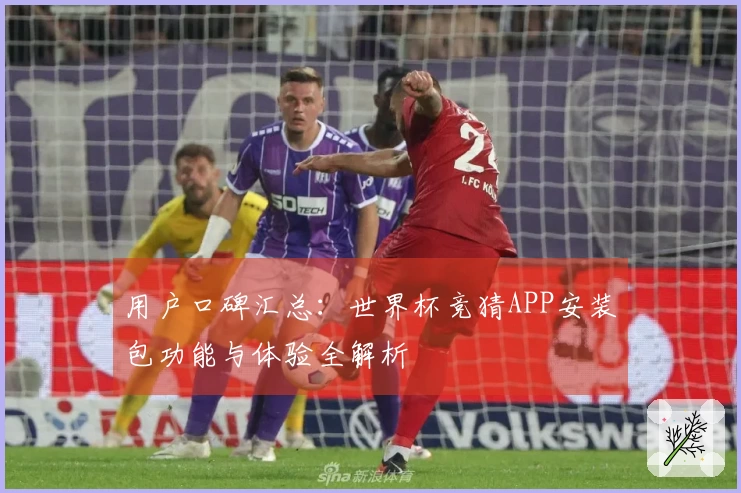用户口碑汇总：世界杯竞猜APP安装包功能与体验全解析